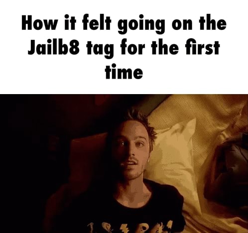 How it felt going on the Jailb8 tag for the first time - iFunny